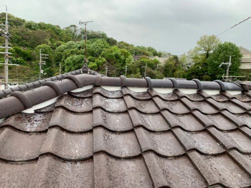 3a25b284-a41f-4a7a-96cd-66597e17024a