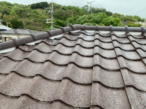 63265bd3-da9e-42c8-8f8c-768587650b78