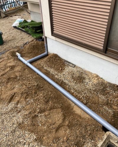 d20199aa-bf90-435c-a9b6-01c5e49760f7