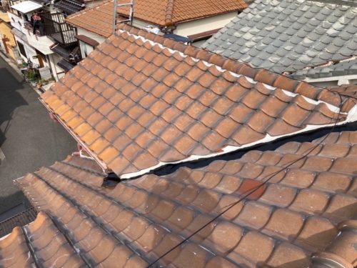 1a43ea1f-9a5f-405b-906d-5a74ec358d49