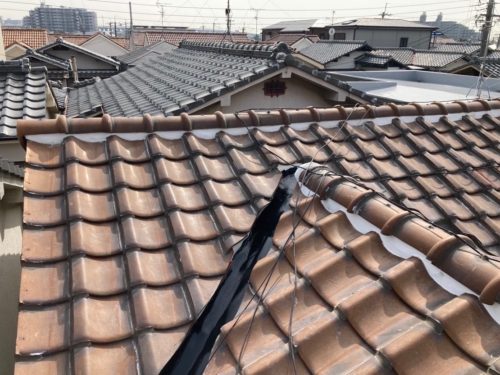 dc821c98-b194-4c7d-856d-d2120401c3d4