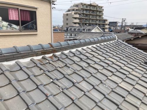 3931974c-0e83-4e8c-80e3-dcea06b43854