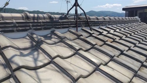 40d68fe1-d721-4573-98a6-4617f026f920