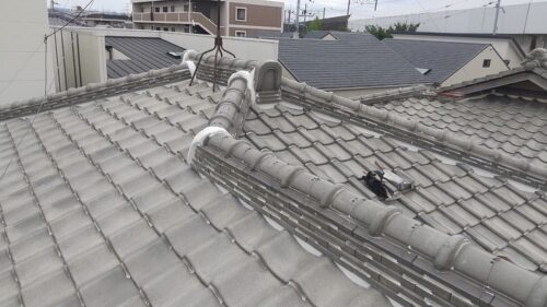 df431388-4c6d-43dc-ba2e-1af6ad9a031f