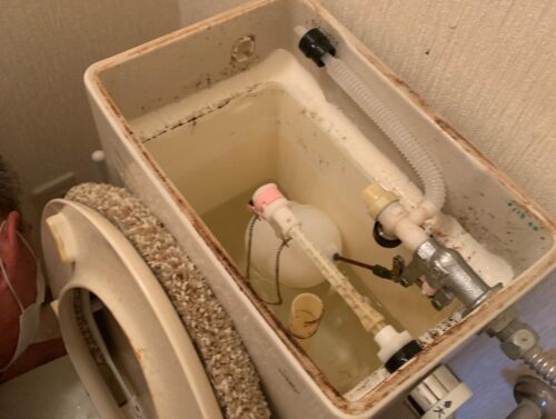 478cc710-c474-4f46-bd09-95fc4d59bcaf