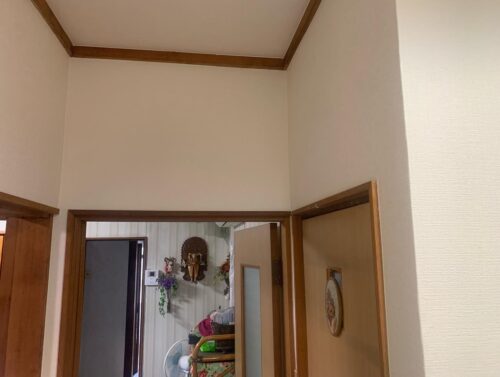 55f51ad6-fa9c-4b95-b983-af20deecd3d7