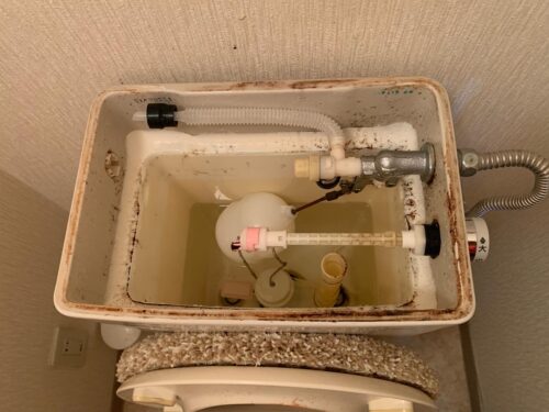 b23150d7-ba12-49f3-ba53-b9f197bc4f96