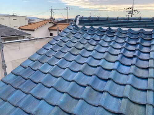 d03a16c3-89cb-4869-8fe1-1b5c6a4614c7