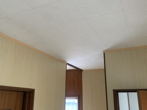 b8b02c8a-8d55-4696-85e3-d479fd4ce697